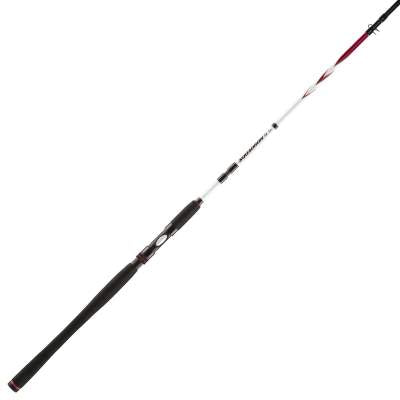 PENN SQUADRON II SW SPIN 302 20-60G