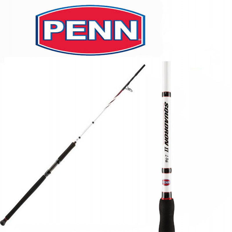 Penn Canne squadron II light pilk 302 80 120g