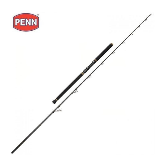 PENN REGIMENT II 841 80LBS TUNA