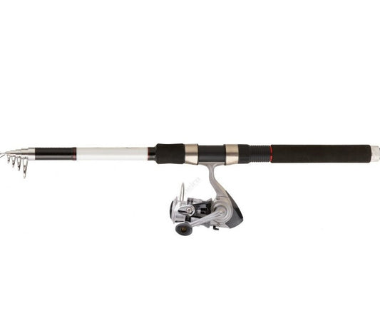 Canne casting Daiwa SW 24 T AF