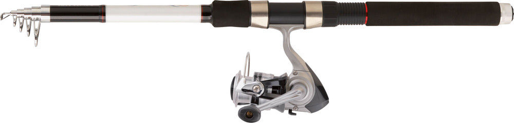 Canne casting Daiwa SW 24 T AF